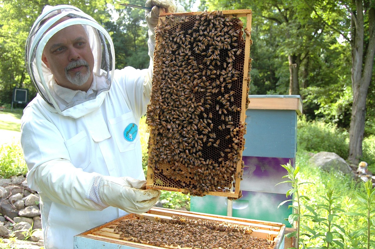 Beekeeper existe na vida real: Fatos surpreendentes sobre a profissão
