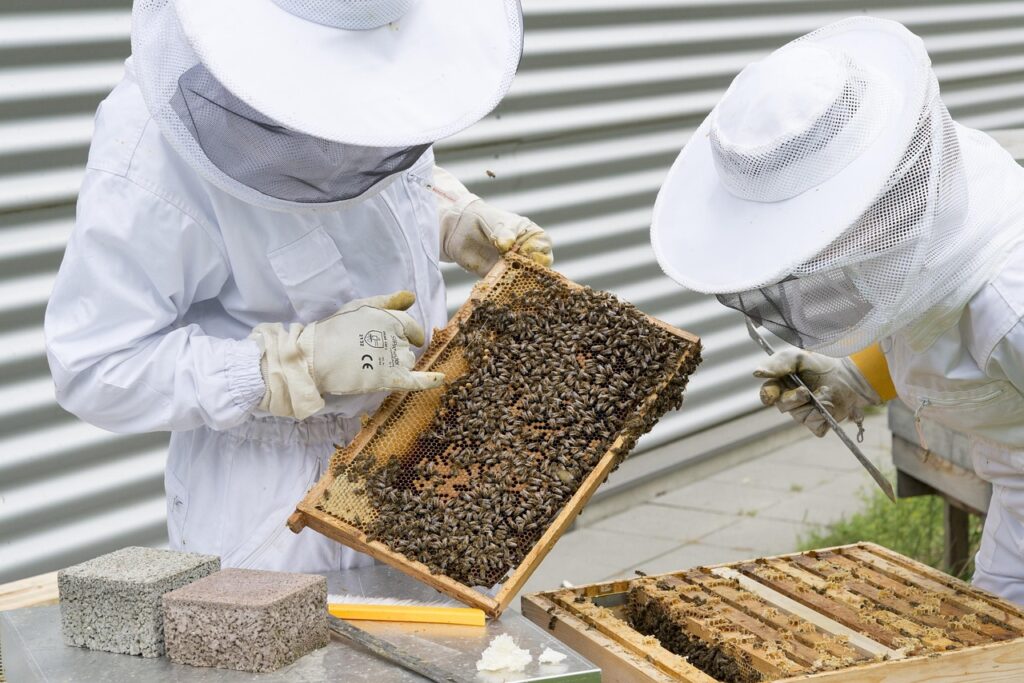 Beekeeper existe na vida real: Fatos surpreendentes sobre a profissão