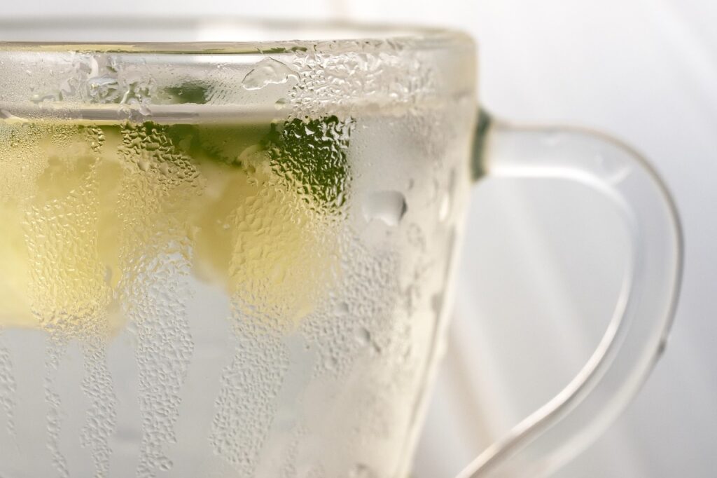 Posso engordar tomando Sprite Lemon Fresh: Impactos na dieta revelados