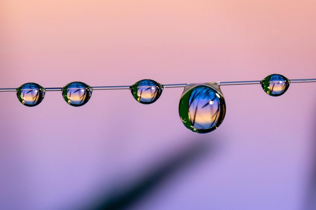 Bom filho a casa torna significado: A origem e lição do provérbio