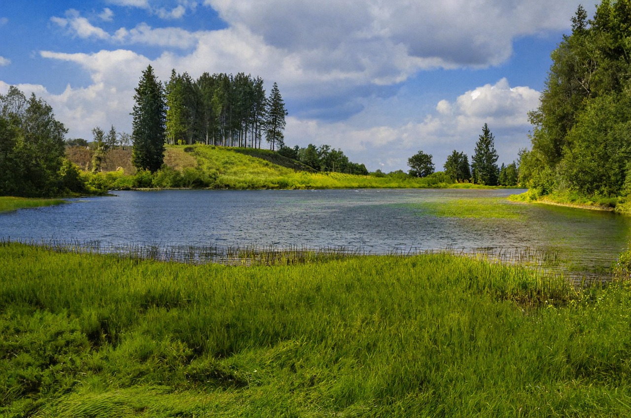 Resina de secagem rápida: 5 exemplos e aplicações práticas